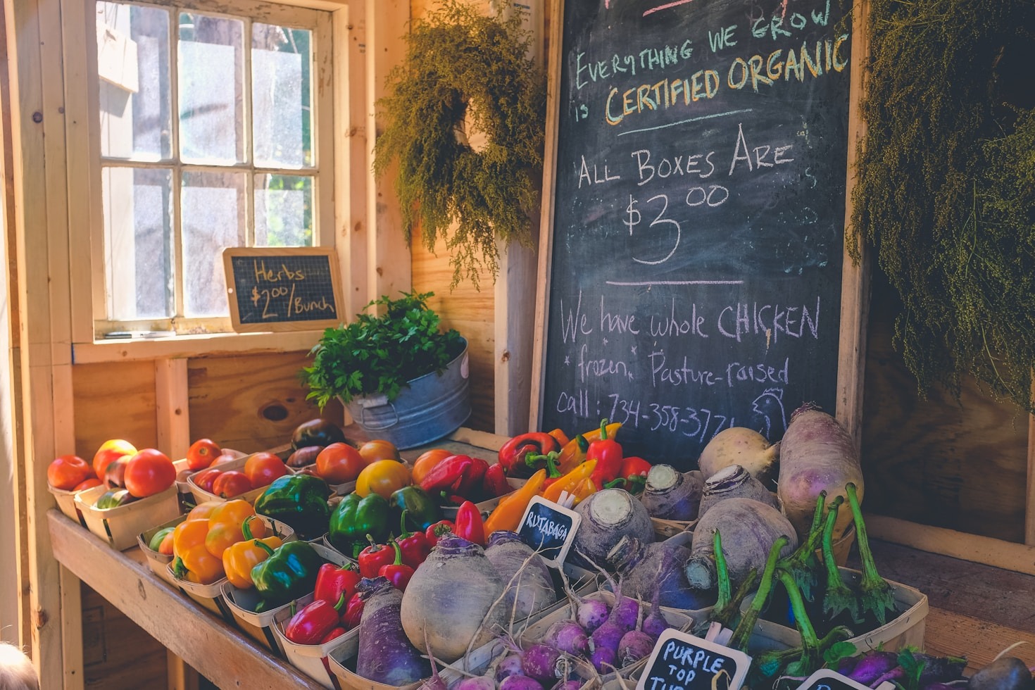 How Growing Goodness Farm Cultivates Freshness