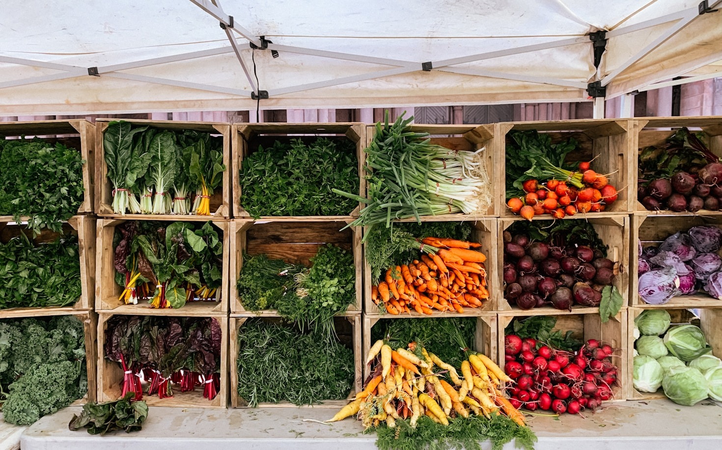 Meet the Farmers: Stories from Growing Goodness